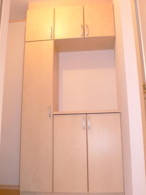 Same specifications photos (Other introspection)