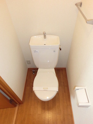 Toilet. Toilet