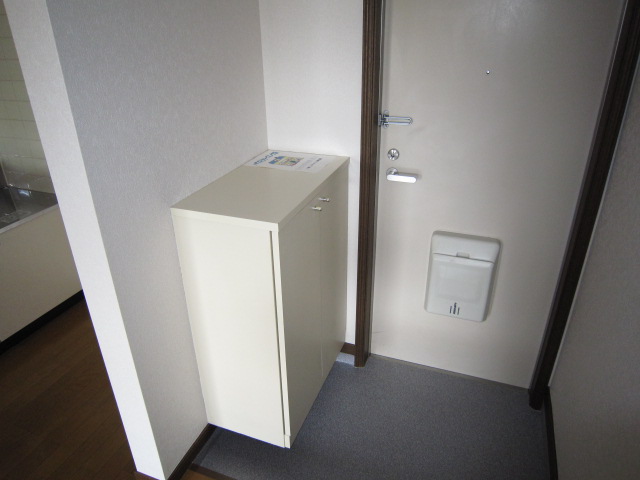 Entrance. Shoe case equipped