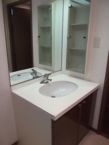 Washroom. Bathroom vanity