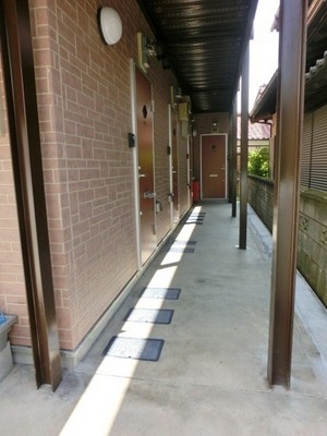 Entrance. Joint corridor