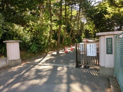 Primary school. Kashiwadai 200m up to elementary school (elementary school)