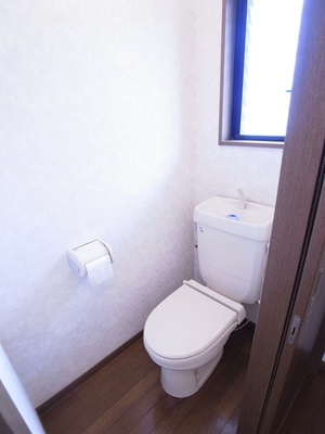 Toilet. It contains the light if there is a window in the toilet.