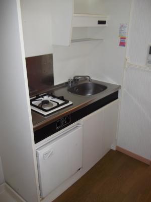 Kitchen. 1 lot gas stoves installed already With mini fridge