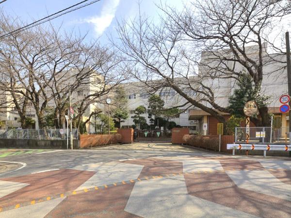 Junior high school. Midoricho 260m until junior high school