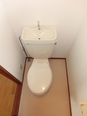 Toilet. Separate toilet