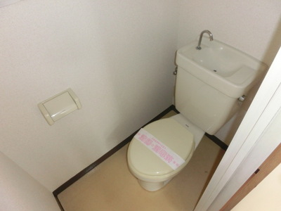 Toilet. Toilet