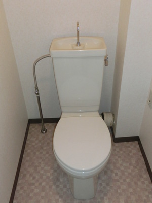 Toilet. Toilet room with cleanliness