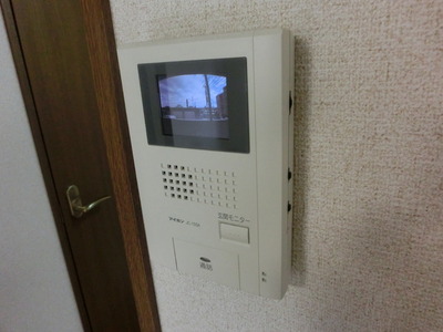 Security. Monitor Hong equipped