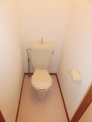 Toilet. Clean toilet