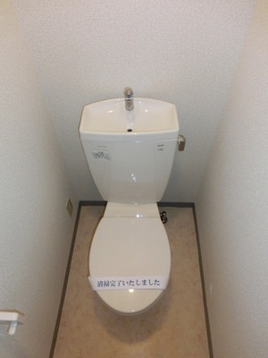 Toilet. Toilet