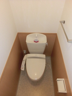 Toilet. Bidet with toilet