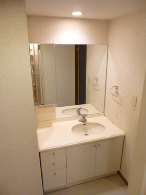 Washroom. Vanity with a wide mirror