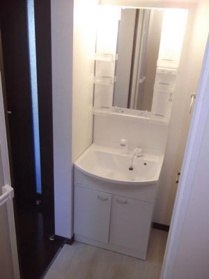 Washroom. Washbasin with shower