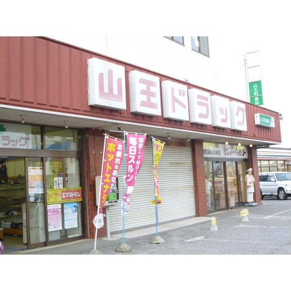 Dorakkusutoa. Uerushia Chiba Sanno shop 876m until (drugstore)