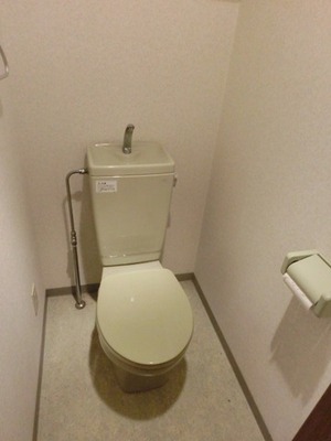 Toilet. Toilet