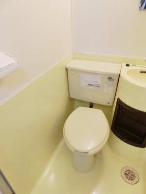 Toilet. Toilet