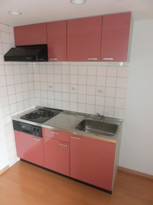 Kitchen. System kitchen