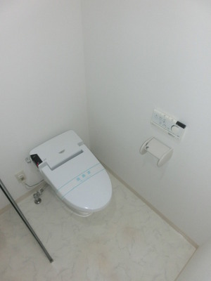 Toilet. Bidet with toilet