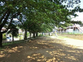 Primary school. Miyanogi up to elementary school (elementary school) 500m