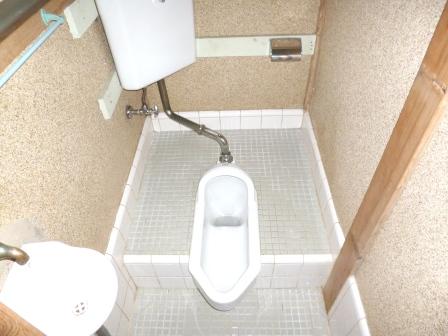 Other. Japanese-style toilet