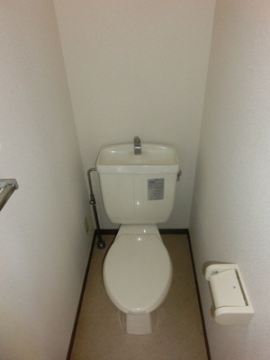 Toilet. Separated toilet