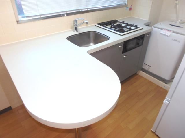 Kitchen. Spacious kitchen with counter