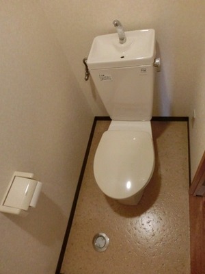 Toilet. Toilet