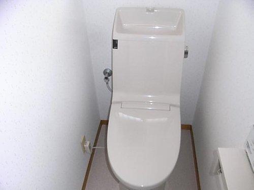 Toilet. Toilet with cleanliness