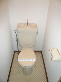 Toilet. Precious space