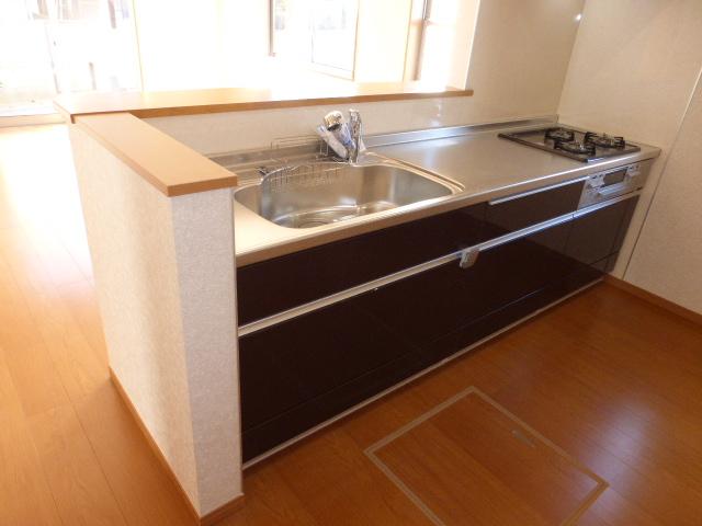 Kitchen. Local (12 May 2013) Shooting