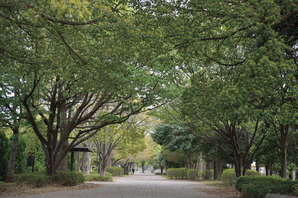 park. Anagawa to Central Park 650m