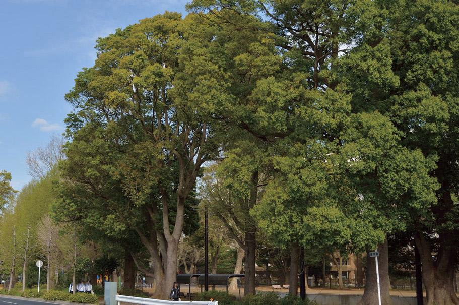 park. 500m to good friends park