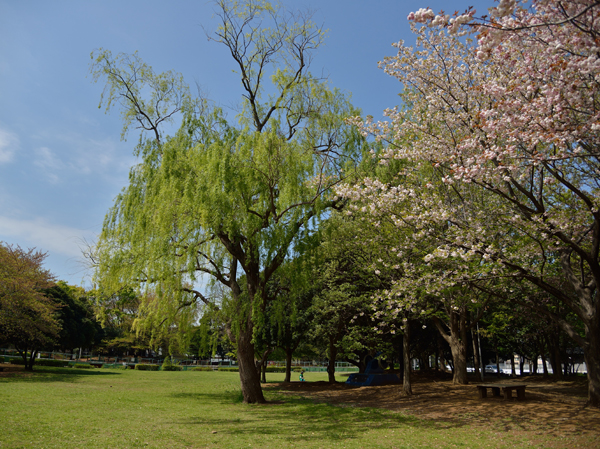 Surrounding environment. West Chiba park (about 1420m ・ 18-minute walk)