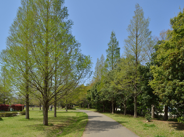 Surrounding environment. Anagawa Central Park (about 440m ・ 6-minute walk)