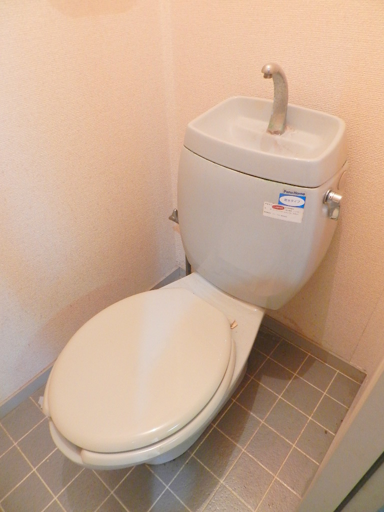 Toilet. * Cleaning before