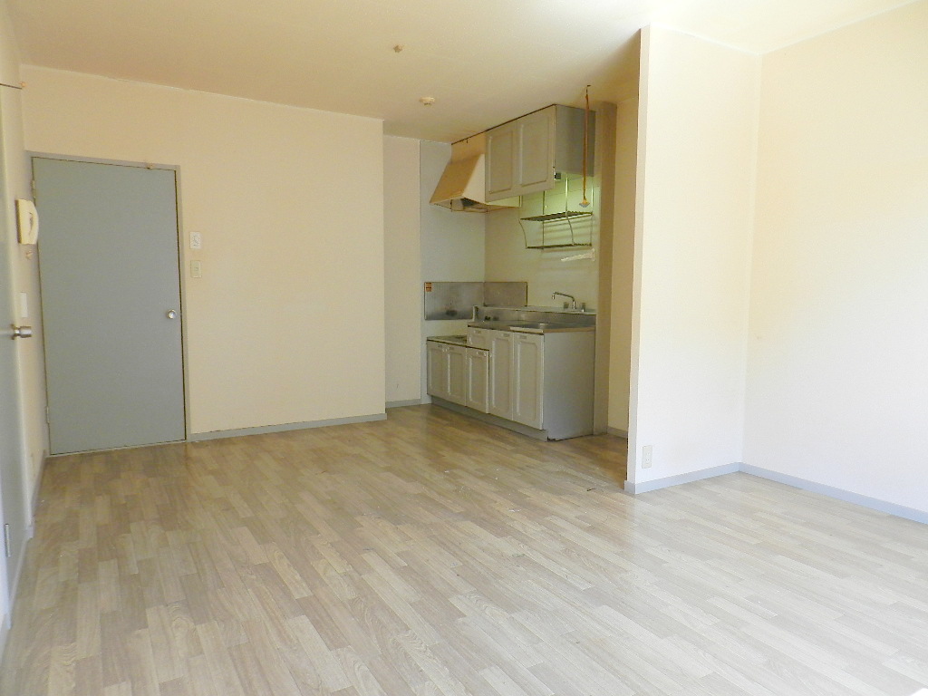Living and room. * Cleaning before
