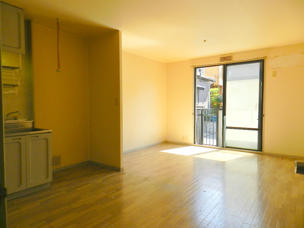 Living and room. * Cleaning before