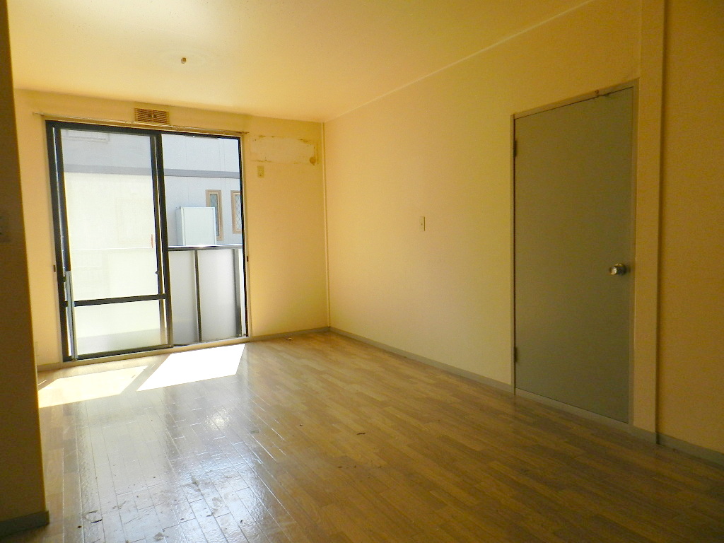 Living and room. * Cleaning before