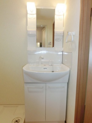 Washroom. Convenient independent vanity