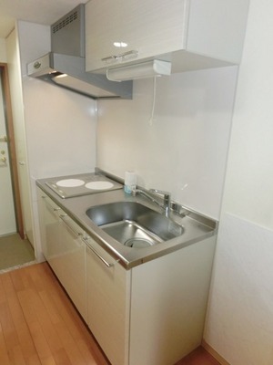 Kitchen. IH stove 2-neck with a kitchen