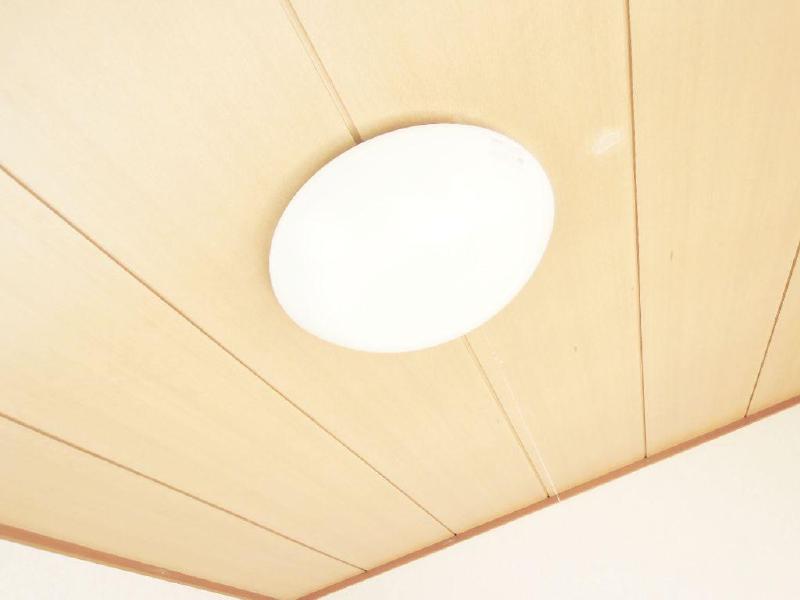 Other. It comes with lighting! It can be immediately life to
