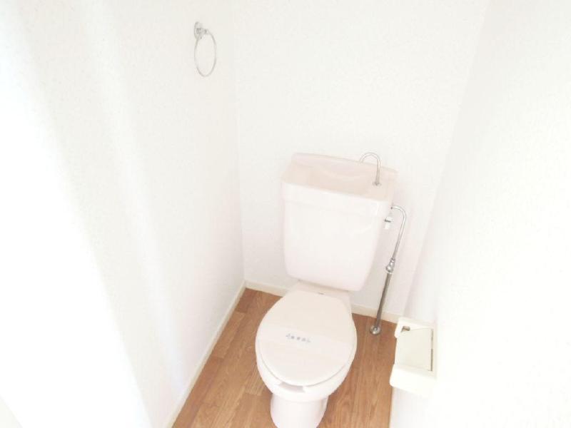 Toilet. Is a space with a clean towel hanger is useful