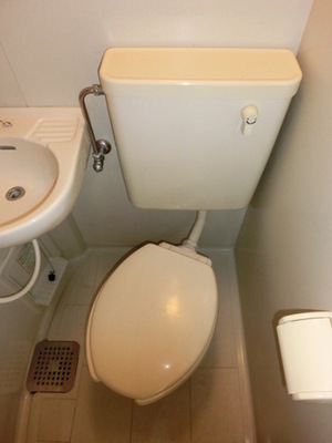 Toilet. Toilet