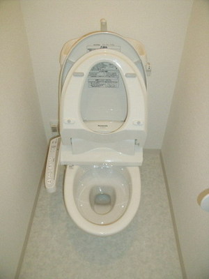 Toilet. Cleaning toilet seat