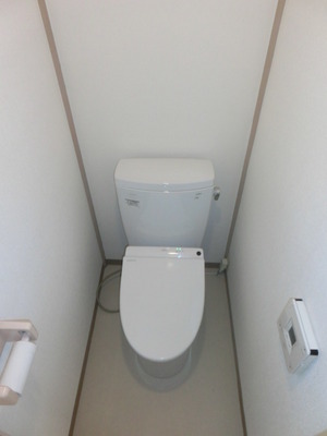 Toilet. Separated toilet