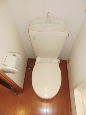 Toilet. I toilets are simple. 