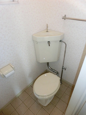 Toilet. Toilet