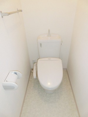 Toilet. Toilet with warm water washing toilet seat