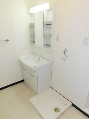 Washroom. Convenient independent vanity